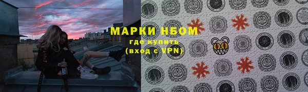 хмурый Надым