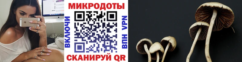Купить где  Колпашево  Галлюциногенные грибы MAGIC MUSHROOMS 