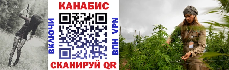 Купить  Колпашево  Каннабис Amnesia 